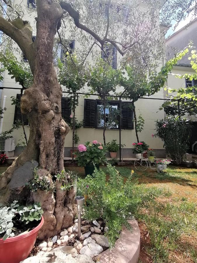 Apartment Oliva Pula Exterior photo
